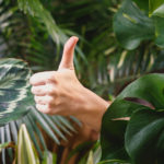 Person giving thumbs up in plants