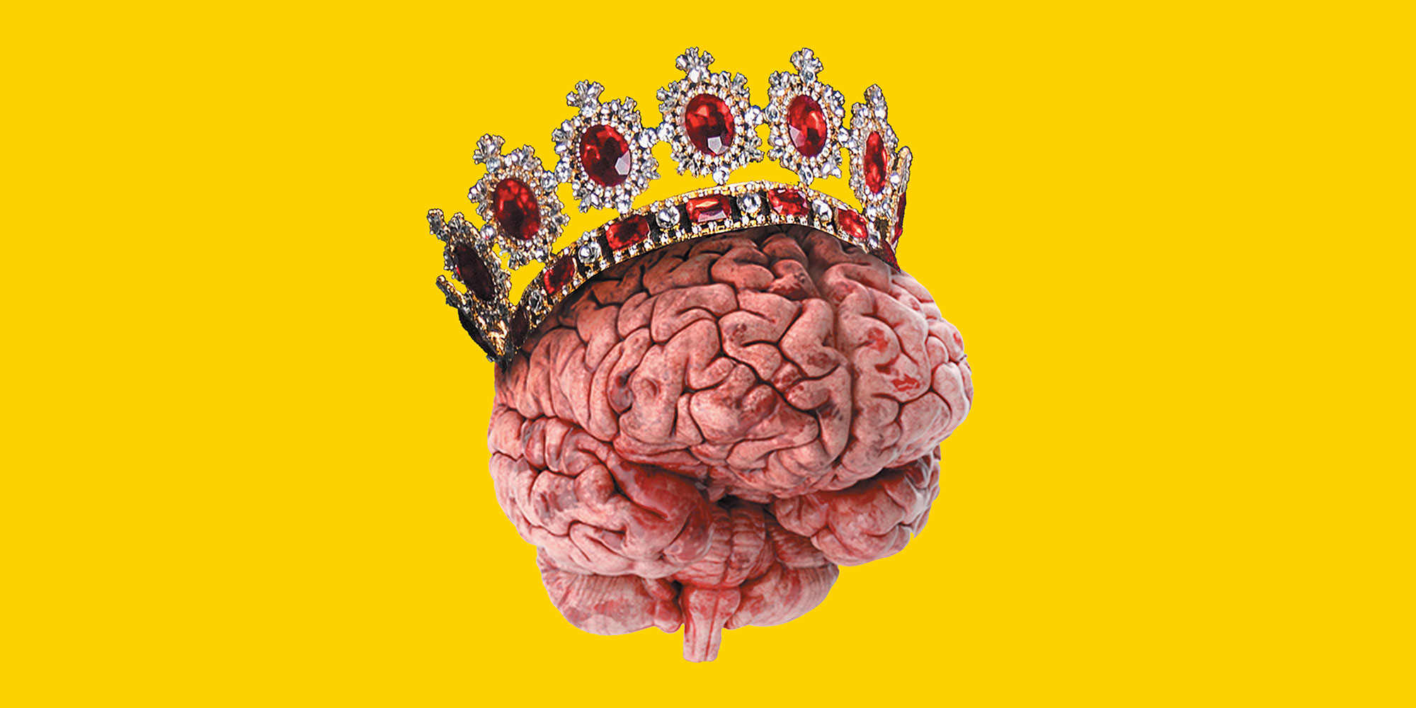 brain wearing crown of diamonds and rubies on yellow background